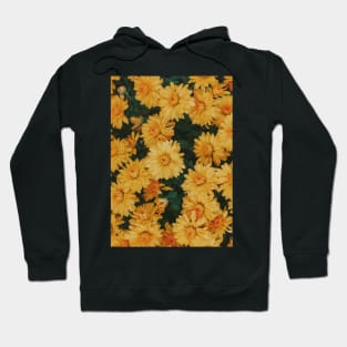 Daisies Hoodie